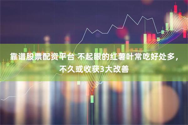 靠谱股票配资平台 不起眼的红薯叶常吃好处多,不久或收获3大改善
