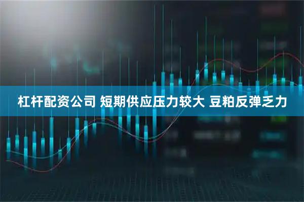 杠杆配资公司 短期供应压力较大 豆粕反弹乏力